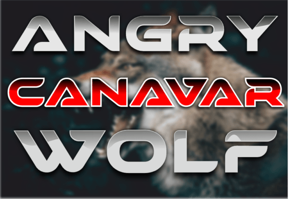 Canavar: The Bold Display Typeface for Impactful Web Design