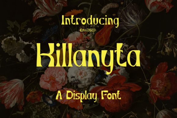 Kilanyta: A Designer's Honest Review for Real Projects