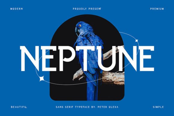 Neptune: A Modern Display Font for Bold Brand Identity