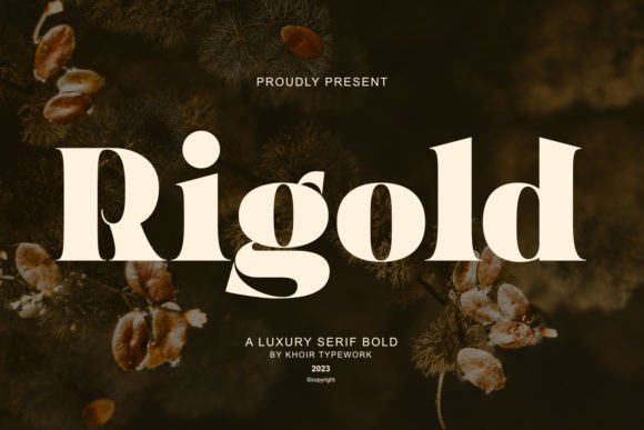 Rigold: The Premium Display Typeface for Campaign Clarity