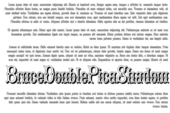 Upgrade Your Brand with the Bruce Double Pica Typeface